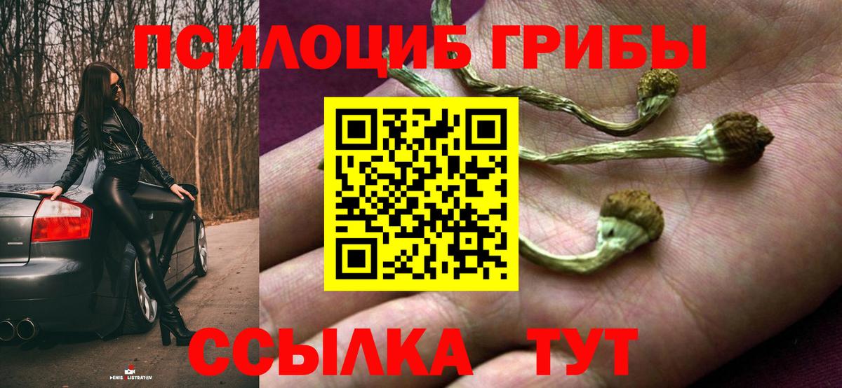 Канабис  Гашиш  Где купить  Вход с VPN  Cocaine  Новоалександровск  Меф   АМФЕТАМИН  