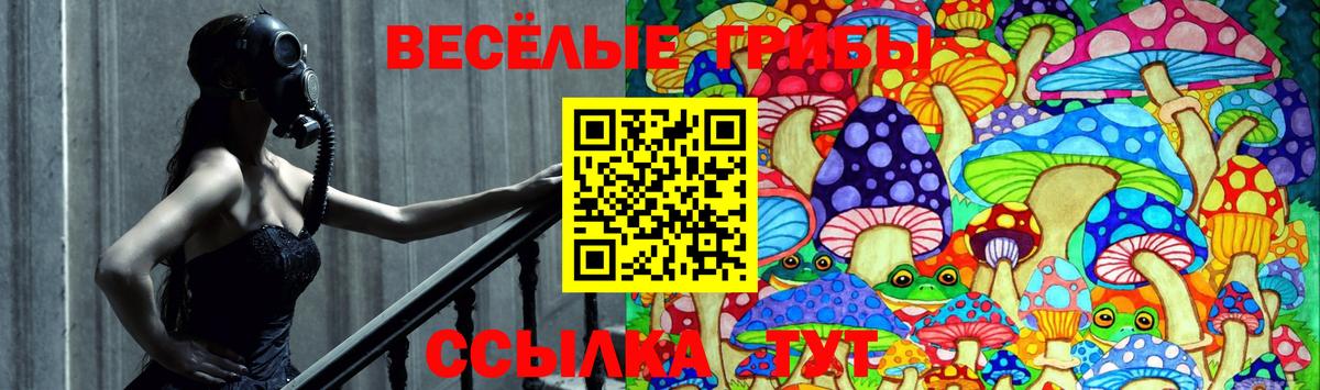 Псилоцибиновые грибы GOLDEN TEACHER  Вход с VPN  Галлюциногенные грибы прущие грибы  Новоалександровск 